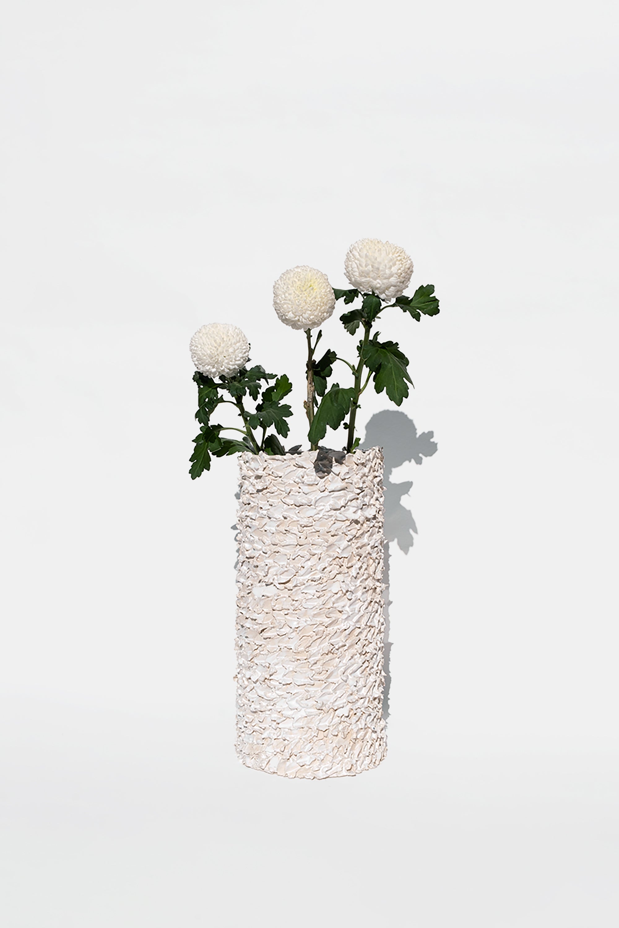 VOA, product: White Barbed (Fig. 2)
