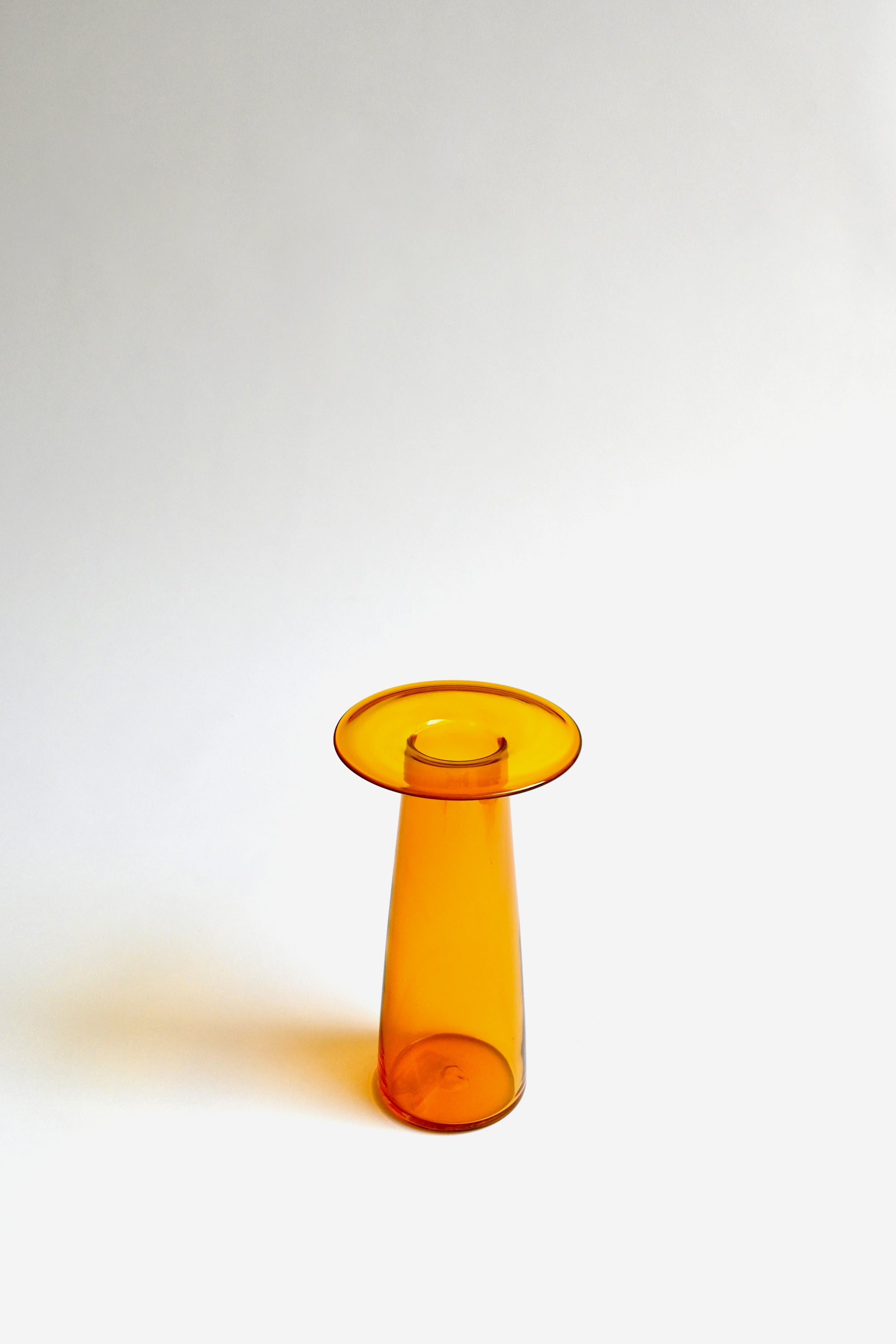 VOA: Quijote (M) amber (Thumbnail)
