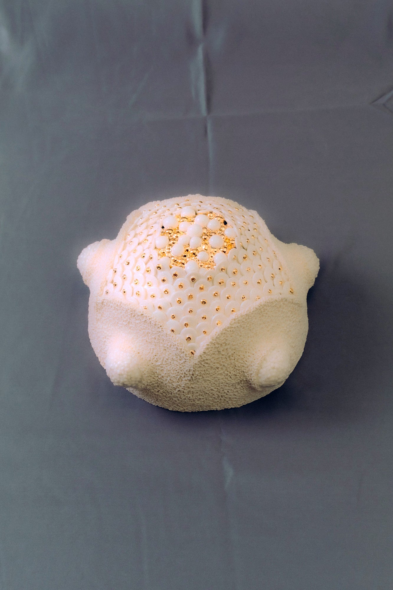 VOA, article: Contemporary Craft Collection (Fig.)
