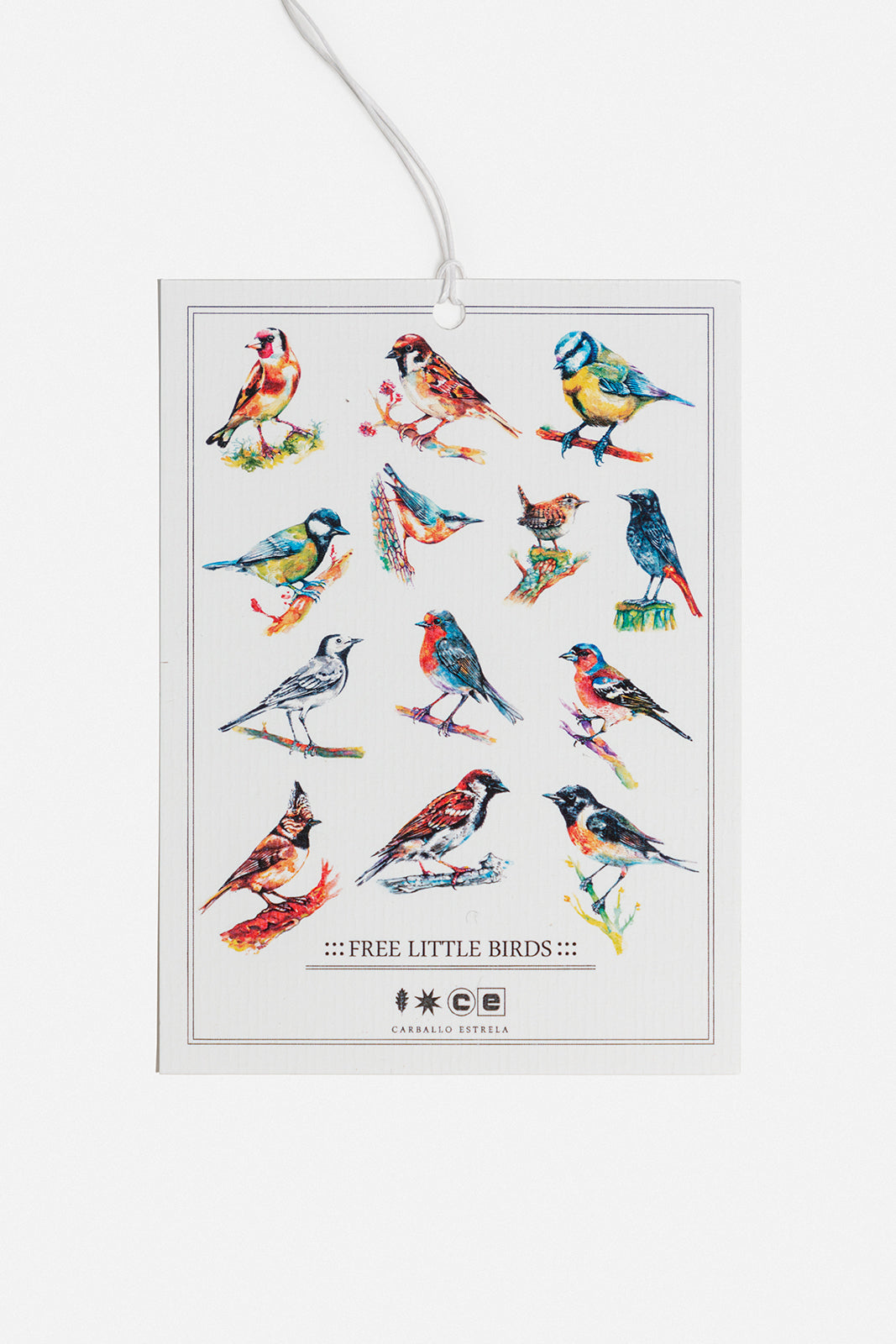 VOA, product: La Casa Conífera Birdhouse. Needle (Fig. 6)