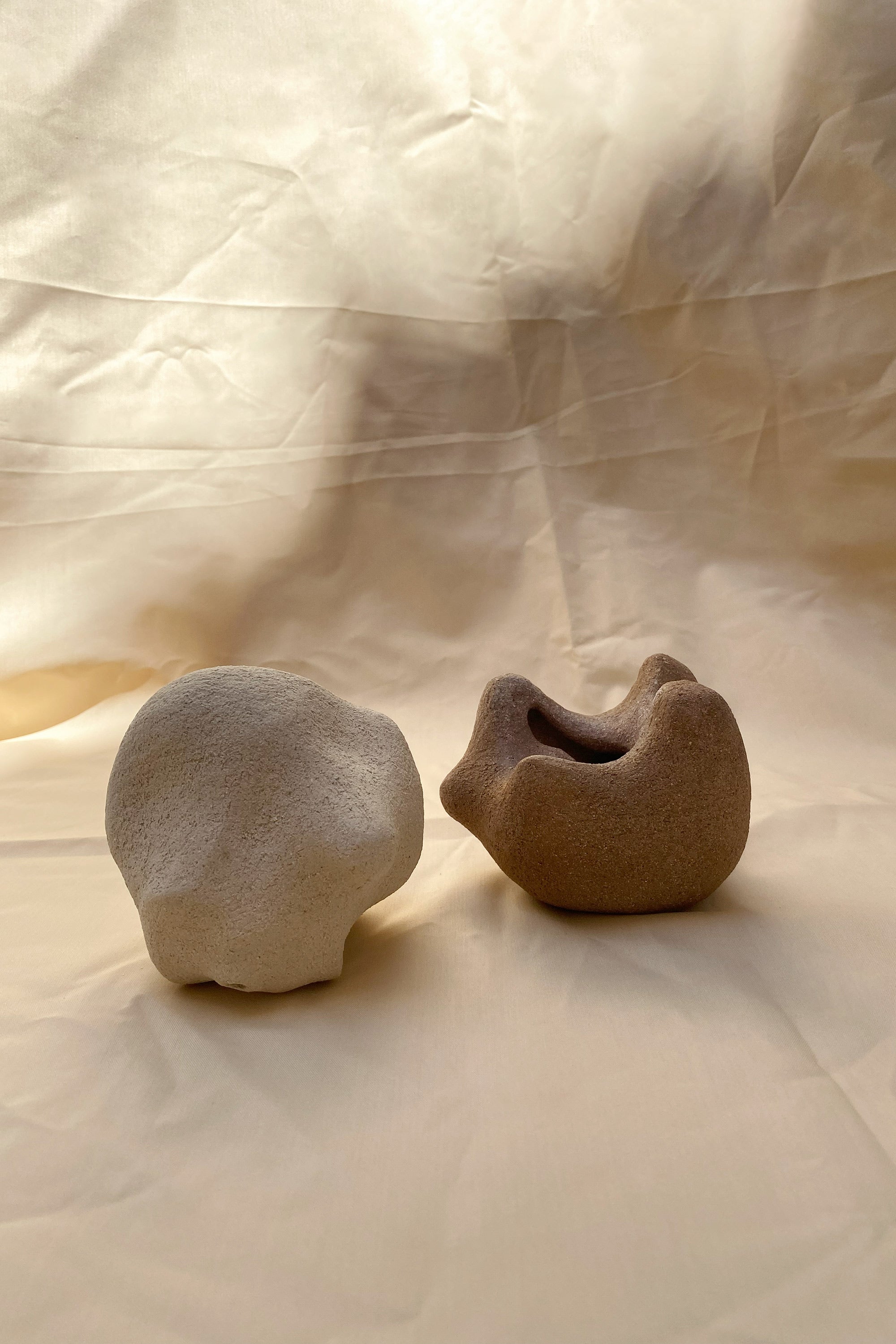 VOA, product: Abrazo de oso (Fig. 2)